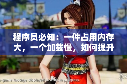 程序員必知：一件占用內(nèi)存大，一個加載慢，如何提升軟件性能？