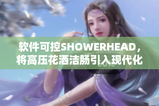 軟件可控SHOWERHEAD，將高壓花灑潔腸引入現(xiàn)代化。