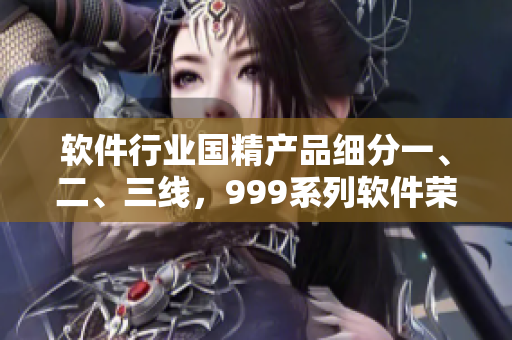 軟件行業(yè)國精產(chǎn)品細分一、二、三線，999系列軟件榮獲高度認可