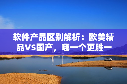 軟件產(chǎn)品區(qū)別解析：歐美精品VS國產(chǎn)，哪一個(gè)更勝一籌？
