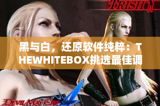 黑與白，還原軟件純粹：THEWHITEBOX挑選最佳調(diào)色軟件
