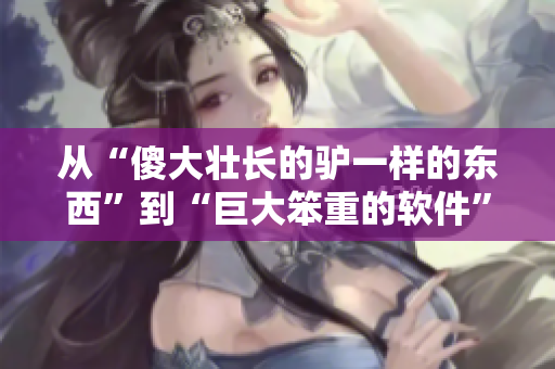 從“傻大壯長(zhǎng)的驢一樣的東西”到“巨大笨重的軟件”，當(dāng)軟件優(yōu)化變得重要