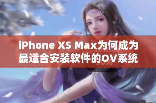 iPhone XS Max為何成為最適合安裝軟件的OV系統(tǒng)智能手機(jī)