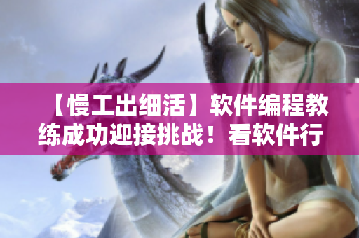 【慢工出細活】軟件編程教練成功迎接挑戰(zhàn)！看軟件行業(yè)管理者如何從中受益！