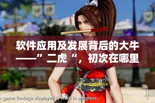 軟件應(yīng)用及發(fā)展背后的大?！倍ⅰ?，初次在哪里被提及？