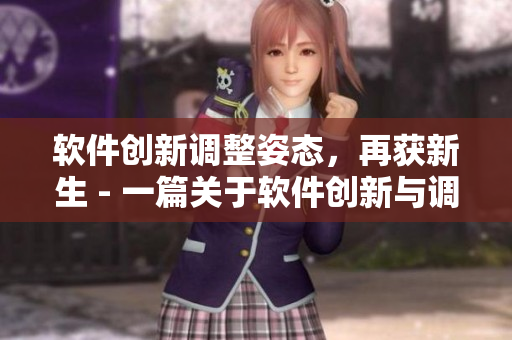 軟件創(chuàng)新調(diào)整姿態(tài)，再獲新生 - 一篇關(guān)于軟件創(chuàng)新與調(diào)整的啟示錄