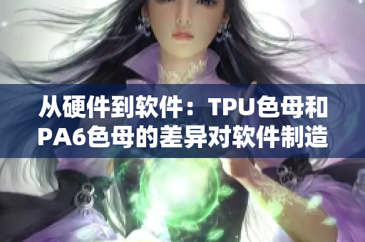 從硬件到軟件：TPU色母和PA6色母的差異對軟件制造業(yè)的影響
