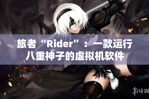 旅者“Rider”：一款運行八重神子的虛擬機軟件