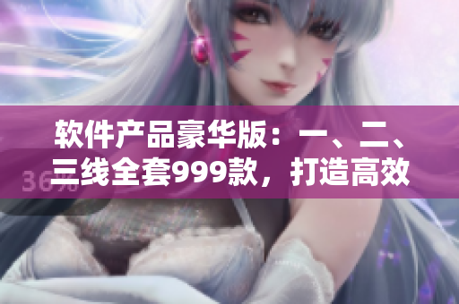 軟件產品豪華版：一、二、三線全套999款，打造高效辦公新體驗