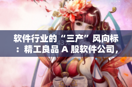 軟件行業(yè)的“三產(chǎn)”風向標：精工良品 A 股軟件公司，研發(fā)實力草莓區(qū)？